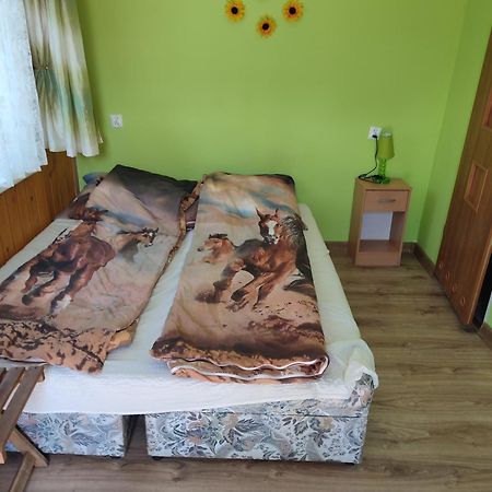 Iza-Pokoje Do Wynajecia Wisełka المظهر الخارجي الصورة
