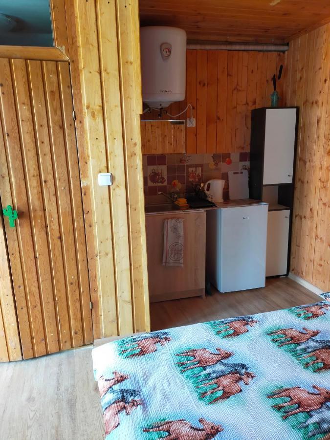Iza-Pokoje Do Wynajecia Wisełka المظهر الخارجي الصورة